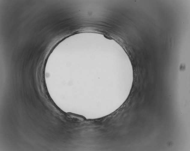 X0000101440289200808041221