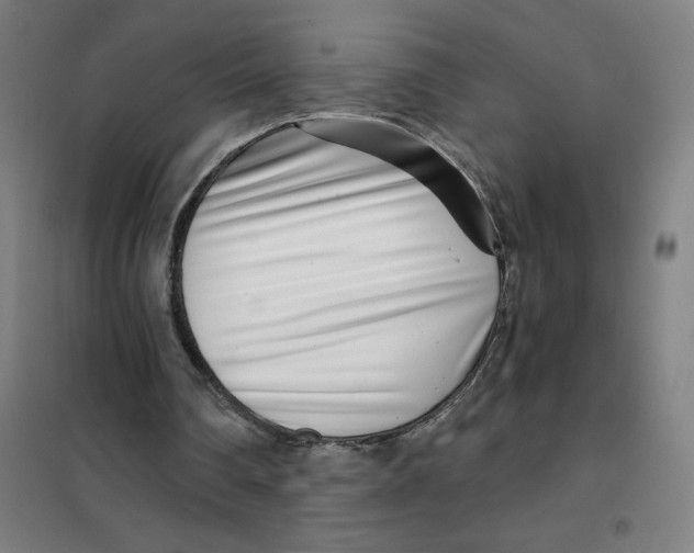 X0000101440290200808041221