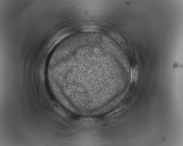X0000101440291200808041221