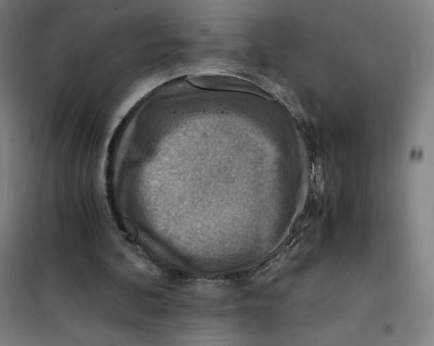 X0000101440292200808041221