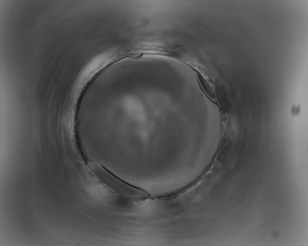 X0000101440293200808041221