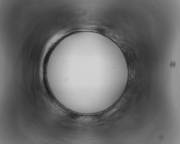 X0000101440294200808041221