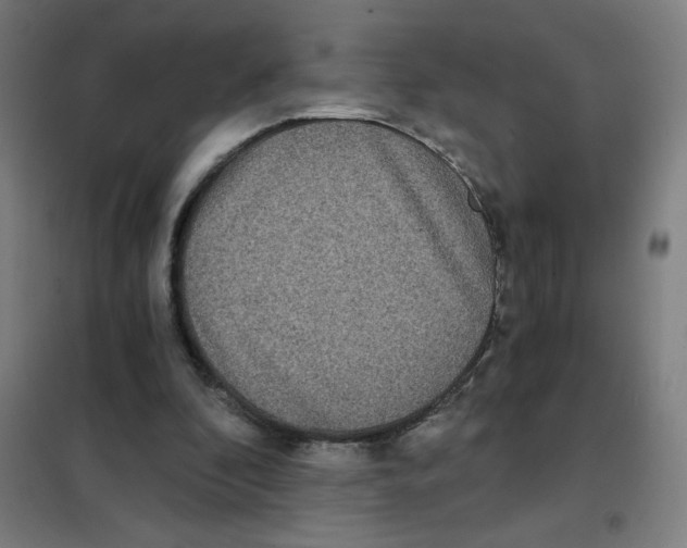 X0000101440296200808041221