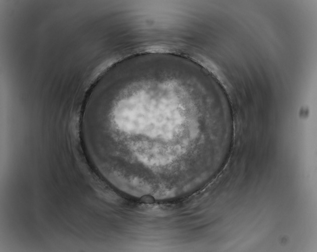 X0000101440297200808041221