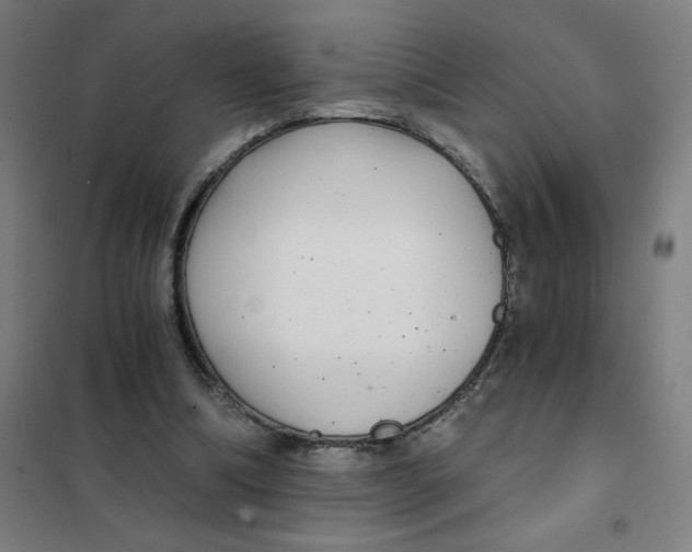 X0000101440298200808041221