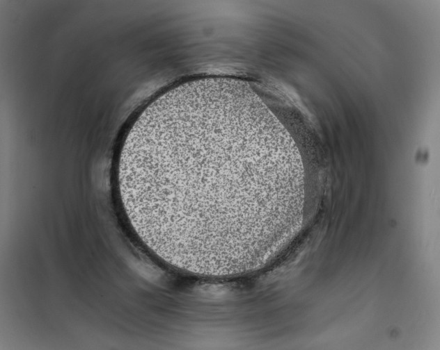 X0000101440299200808041221