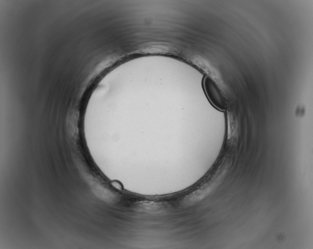 X0000101440300200808041221