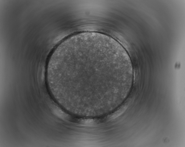 X0000101440301200808041221