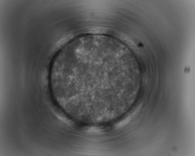 X0000101440303200808041221