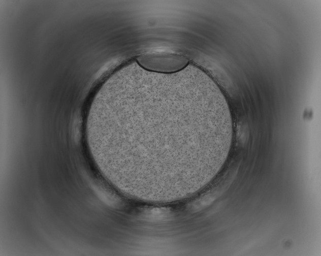 X0000101440304200808041221