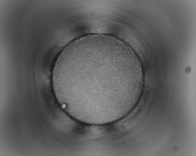 X0000101440305200808041221