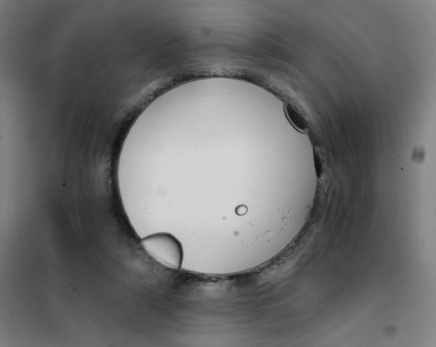 X0000101440306200808041221