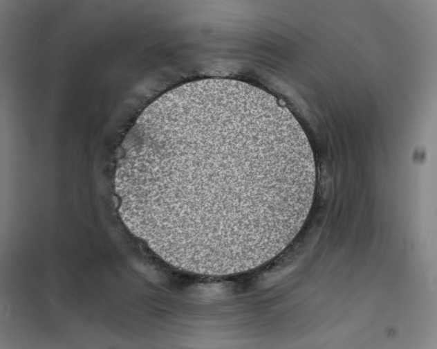 X0000101440307200808041221