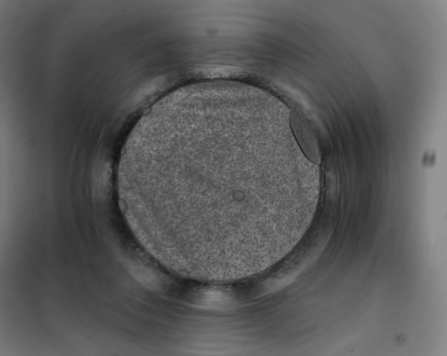 X0000101440308200808041221