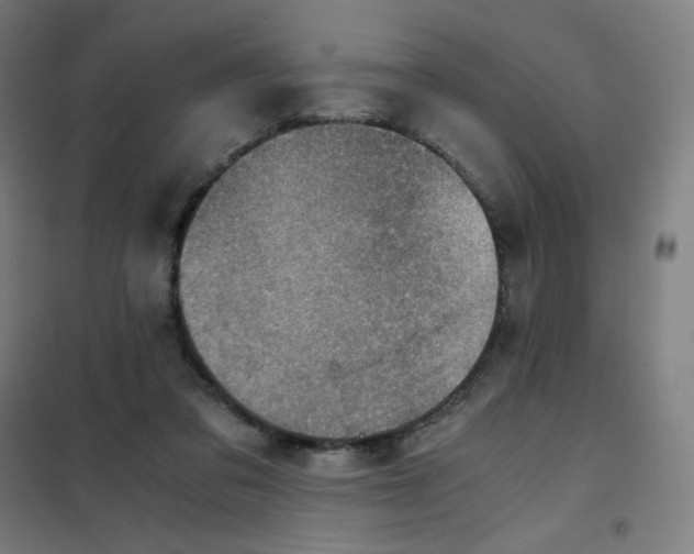 X0000101440309200808041221