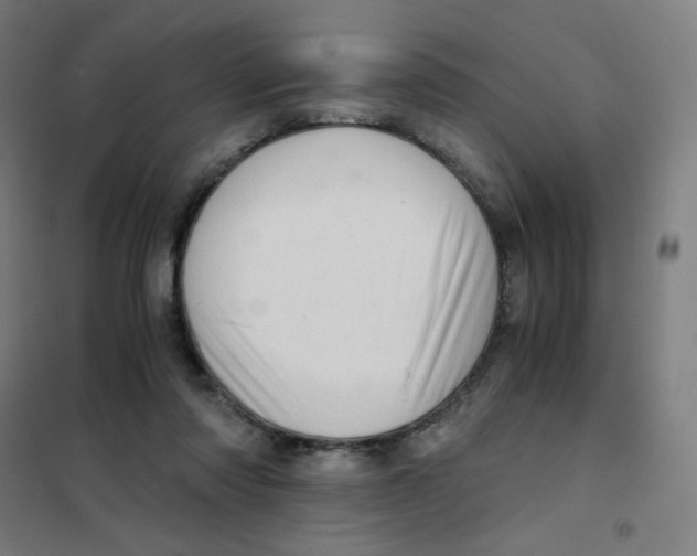 X0000101440310200808041221