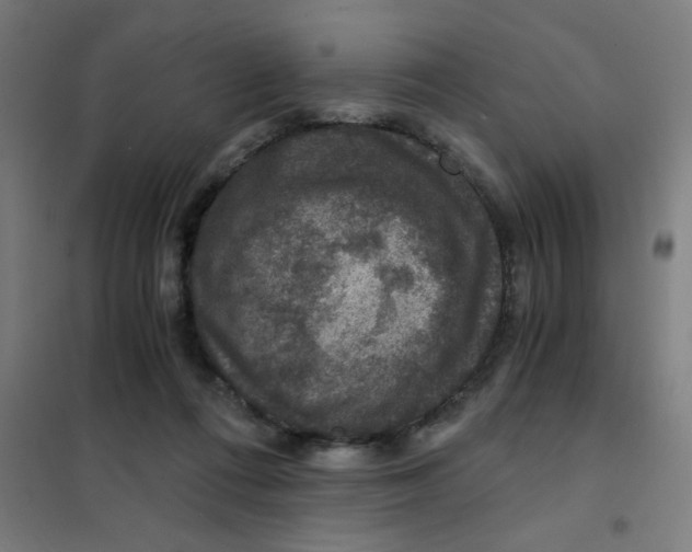 X0000101440312200808041221