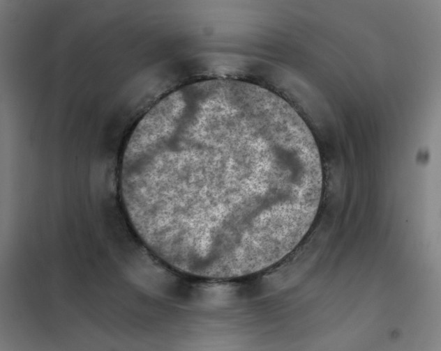 X0000101440313200808041221