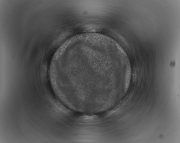 X0000101440314200808041221