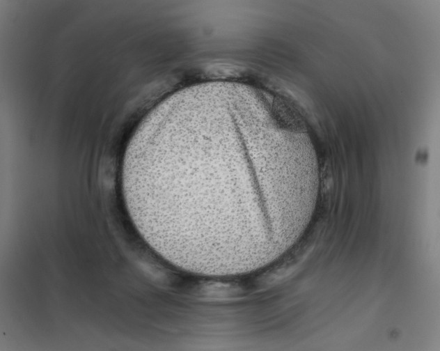 X0000101440315200808041221