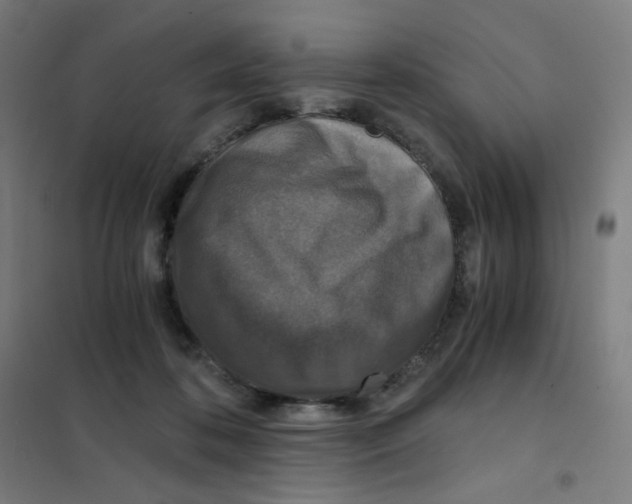 X0000101440316200808041221
