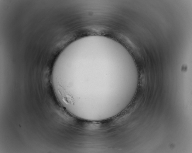 X0000101440318200808041221