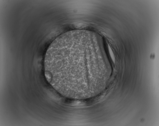 X0000101440319200808041221