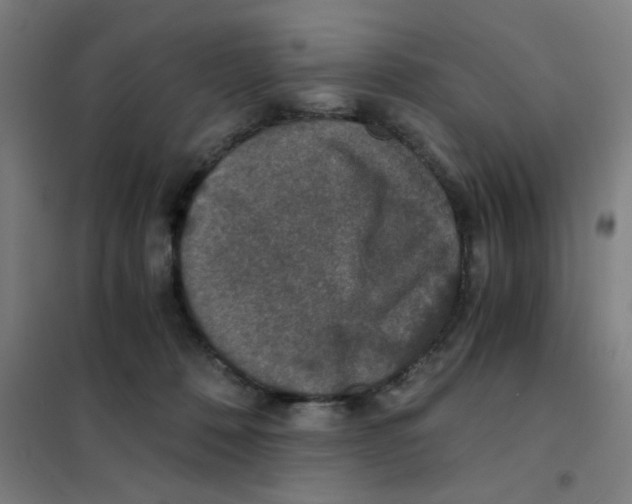 X0000101440320200808041221