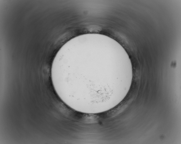 X0000101440321200808041221