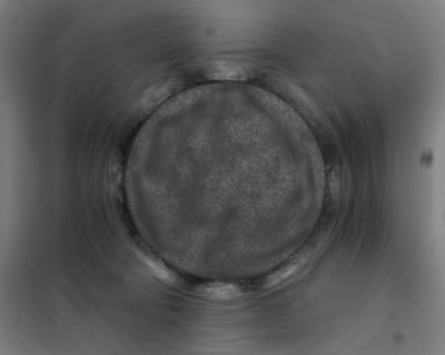 X0000101440322200808041220