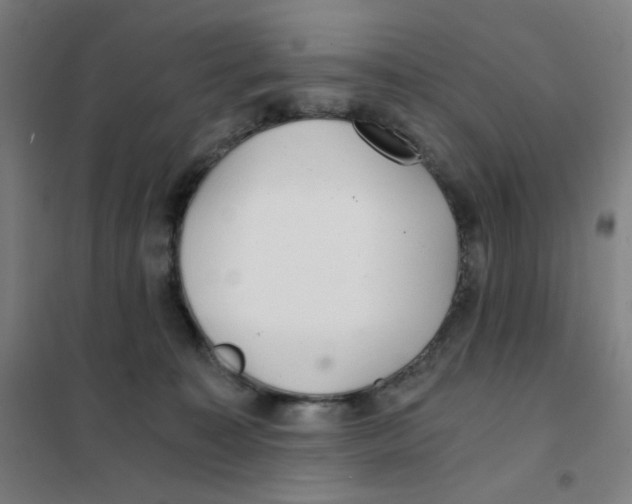 X0000101440323200808041220