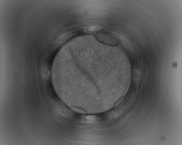 X0000101440324200808041220