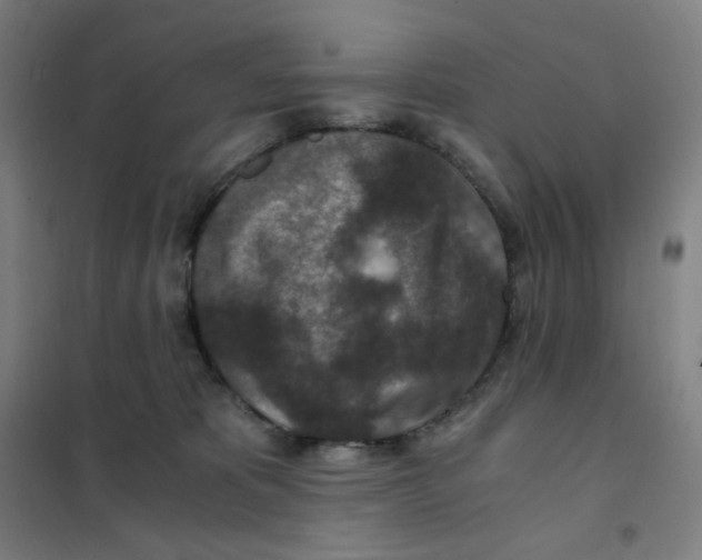 X0000101440325200808041220