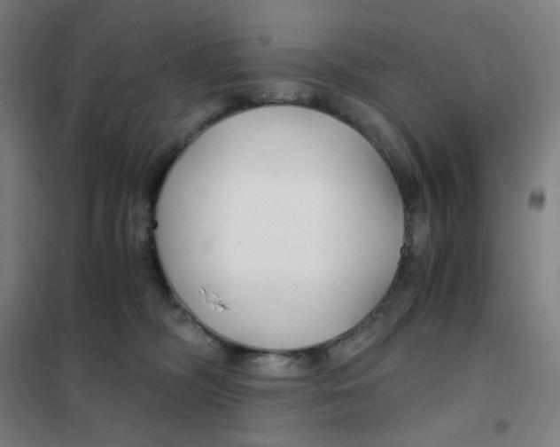 X0000101440326200808041220