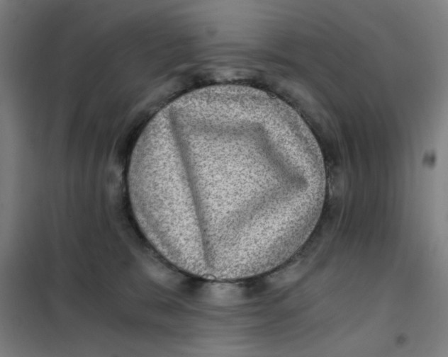 X0000101440327200808041220