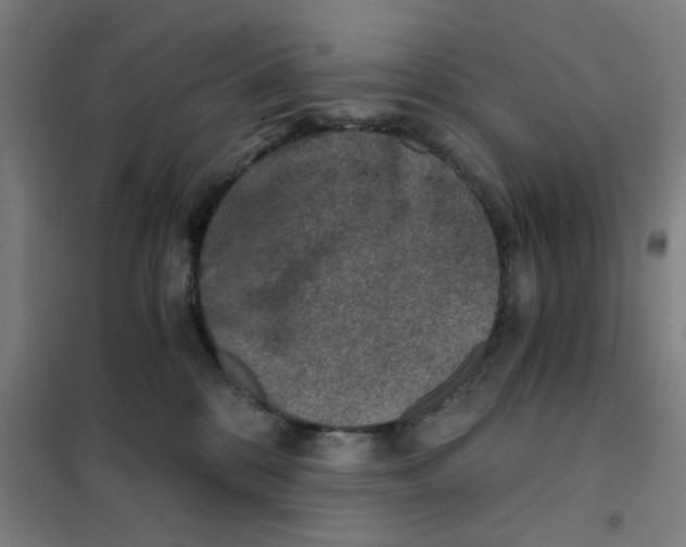 X0000101440328200808041220