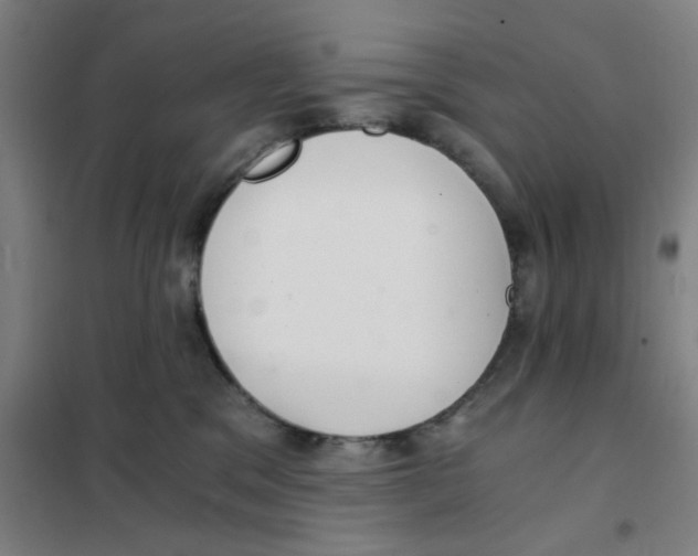 X0000101440329200808041220