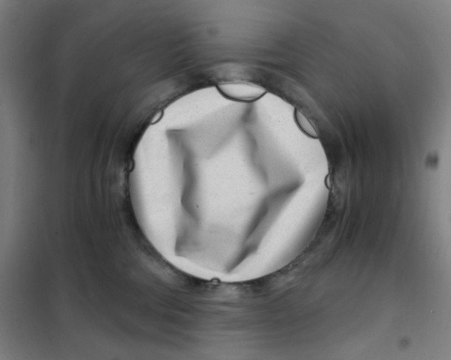 X0000101440330200808041220