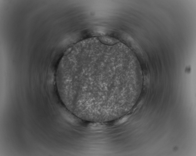 X0000101440331200808041220