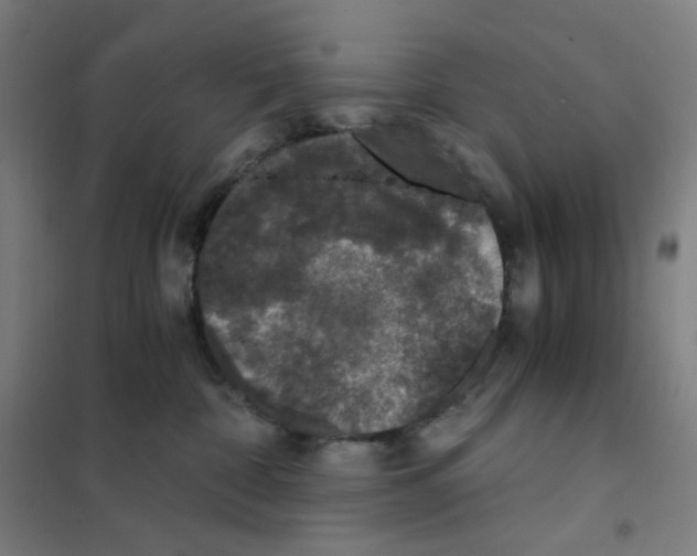 X0000101440332200808041220