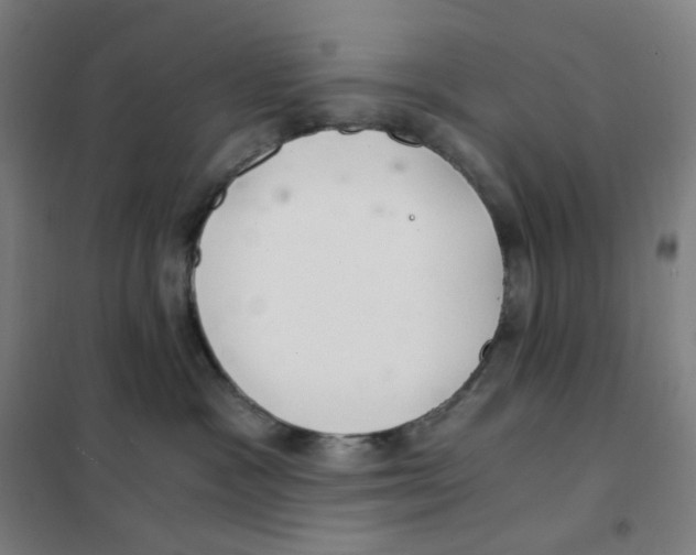 X0000101440333200808041220