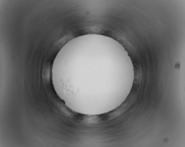 X0000101440334200808041220