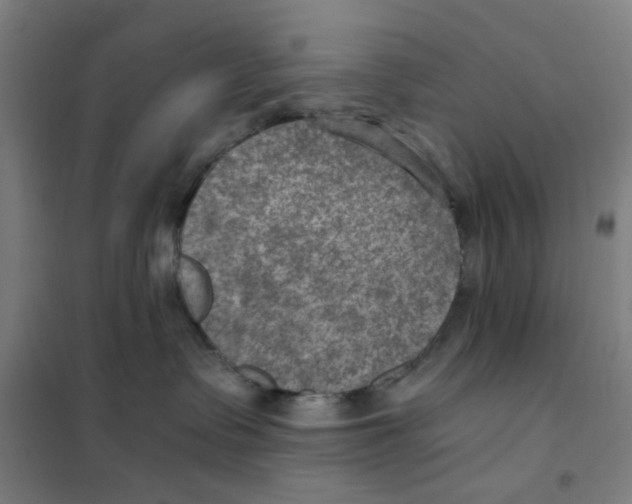 X0000101440335200808041220
