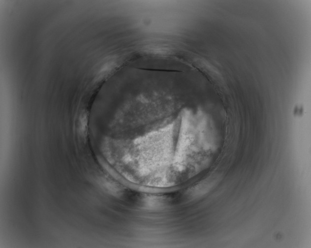X0000101440336200808041220