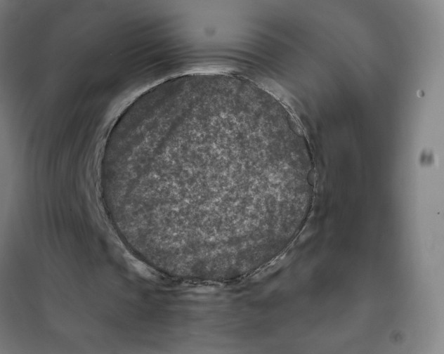 X0000101440337200808041220