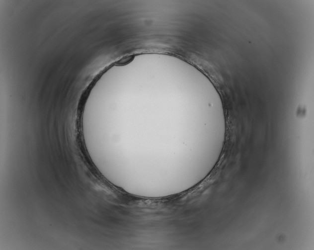 X0000101440338200808041220