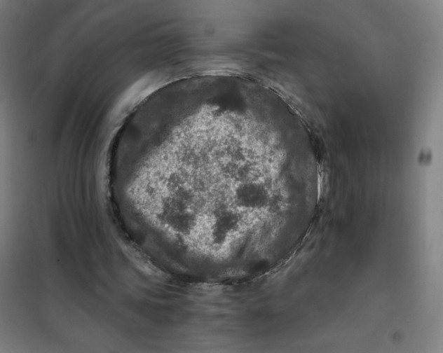 X0000101440339200808041220