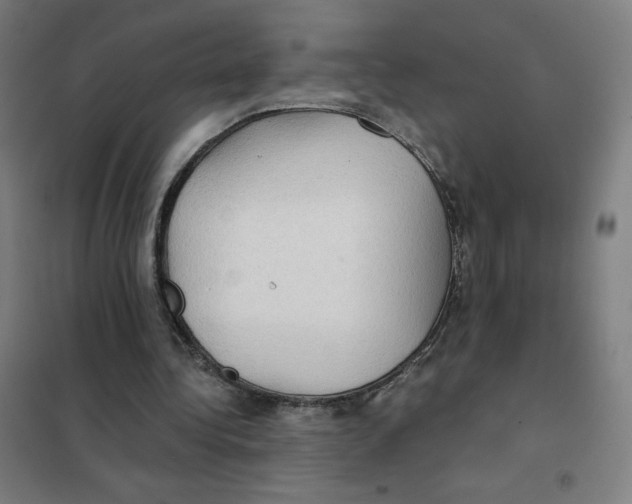 X0000101440340200808041220