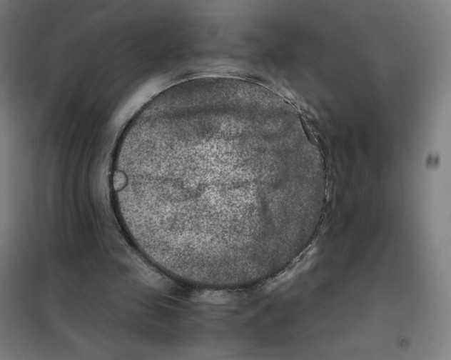 X0000101440341200808041220