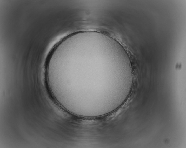 X0000101440342200808041220